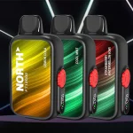 The Flavors of North FT12000: A Sensory Journey Through Exquisite E-Liquid Varieties